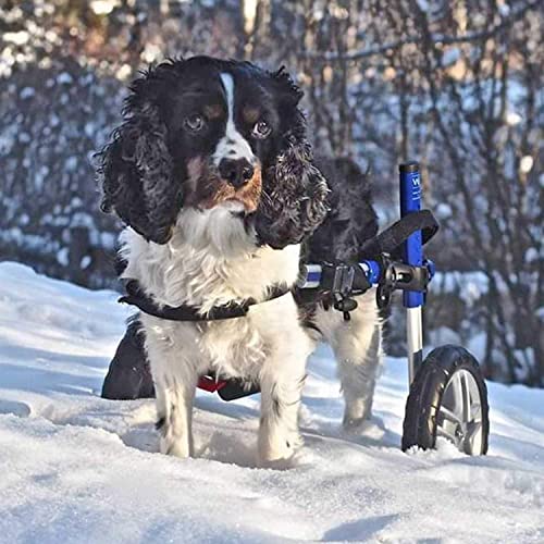 JHGF Silla De Ruedas Ajustable para Perros, Altura: 10.6"-17.7", Ancho 5.1-10.2" Peso 19.8 A 35.2 Lbs, Patas Traseras Rehabilitación Ayuda De Rehabilitación para Perros/Gatos/Mascotas Lesionados En
