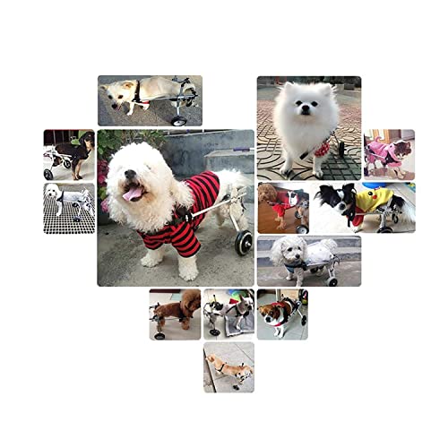 JHGF Silla De Ruedas Ajustable para Perros, Altura: 10.6"-17.7", Ancho 5.1-10.2" Peso 19.8 A 35.2 Lbs, Patas Traseras Rehabilitación Ayuda De Rehabilitación para Perros/Gatos/Mascotas Lesionados En