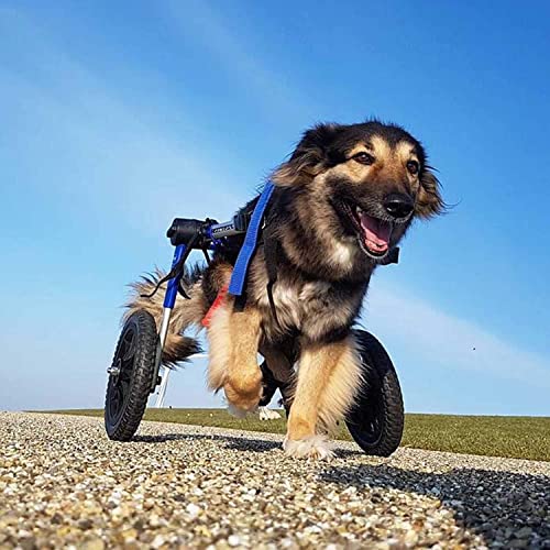 JHGF Silla De Ruedas Ajustable para Perros, Altura: 10.6"-17.7", Ancho 5.1-10.2" Peso 19.8 A 35.2 Lbs, Patas Traseras Rehabilitación Ayuda De Rehabilitación para Perros/Gatos/Mascotas Lesionados En