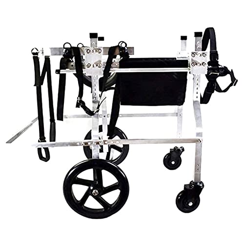 JHGF Silla De Ruedas para Perros Silla De Ruedas para Perros Arnés De Movilidad para Perros, Silla De Ruedas con Soporte Trasero, Carro De Acero Inoxidable Ajustable Mascota/Gato Silla De Ruedas Pa