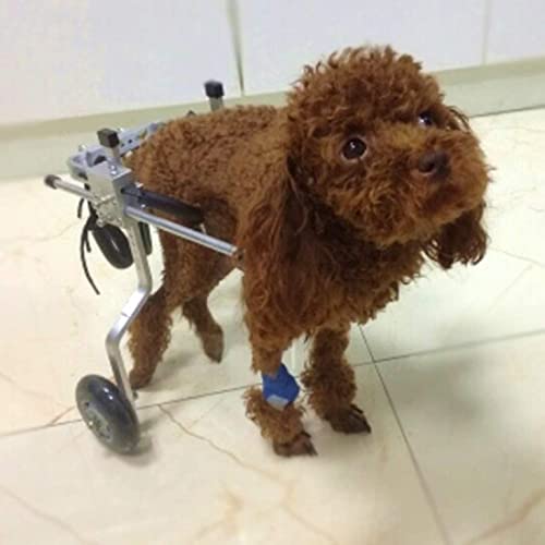 JHGF Silla De Ruedas para Perros Silla De Ruedas para Perros, Tamaño para Perros Pequeños Carrito De Acero Inoxidable Ajustable Mascota/Gato Silla De Ruedas para Perros Pata Trasera - (XXS)