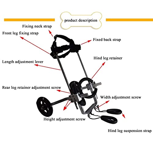 JHGF Silla De Ruedas para Perros Silla De Ruedas para Perros, Tamaño para Perros Pequeños Carrito De Acero Inoxidable Ajustable Mascota/Gato Silla De Ruedas para Perros Pata Trasera - (XXS)