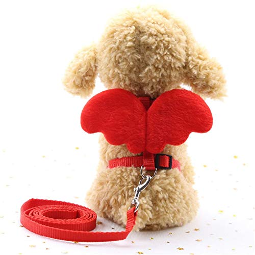 JIAHUI Los arneses de nylon de moda precioso arneses del perro casero del pequeño gato de perrito de Pitbull cuello cuello de la correa del pecho del perro de la correa de suppplies del animal domésti
