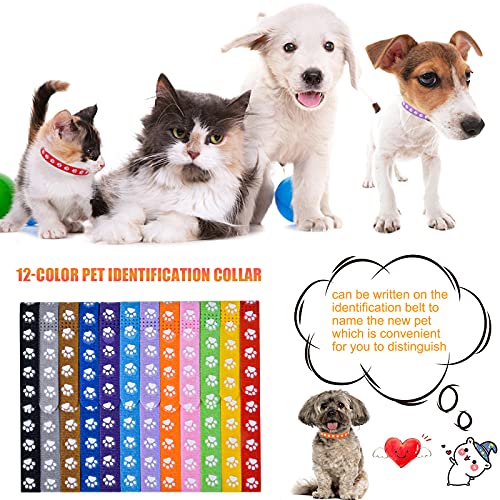 Jinlaili 12 Piezas Collares de identificación para Cachorros, Collares Cachorro de Identificación de Mascotas, Collares Suave Ajustables Etiqueta De Identificación para Mascota Recién Nacidos