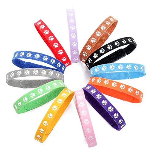 Jinlaili 12 Piezas Collares de identificación para Cachorros, Collares Cachorro de Identificación de Mascotas, Collares Suave Ajustables Etiqueta De Identificación para Mascota Recién Nacidos