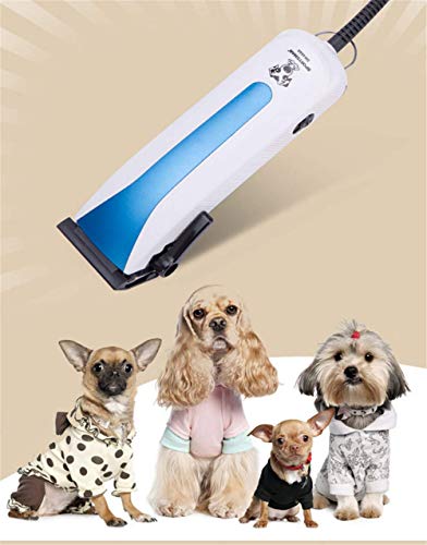 JINQI Cortapelos Perros Cortadora De Pelo Enchufable para Perros, Peine De 4 Límites Cabezal Cortador De Cerámica con Peine, Cable De Alimentación De 66 Pulgadas Kit Profesional De Aseo para Perros