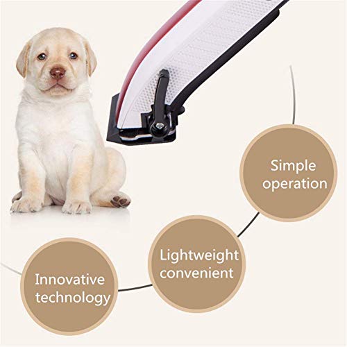 JINQI Cortapelos Perros Cortadora De Pelo Enchufable para Perros, Peine De 4 Límites Cabezal Cortador De Cerámica con Peine, Cable De Alimentación De 66 Pulgadas Kit Profesional De Aseo para Perros