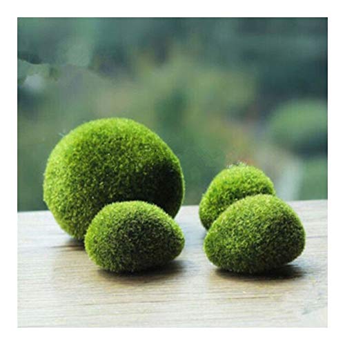 JLZK Materiales ecológicos Planta Acuario de Resina sintética Verde Musgo Bola Cladophora Submarino Ornamento Fish Tank No contamina la Calidad del Agua. (Color : M)