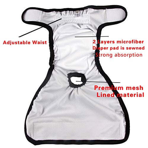 JoyDaog Pañales para perros pequeños, 3 unidades, cómodos, duraderos, reutilizables, lavables, tamaño mediano, color negro M
