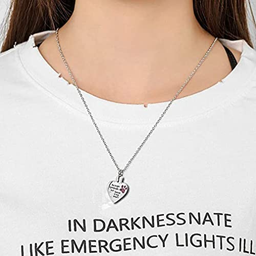 Joyería de cremación Conmemorativa Collar de Cenizas de urna de Recuerdo de Mascota con Personalidad Europea y Americana en Forma de corazón para Perro Gato (Rosa)