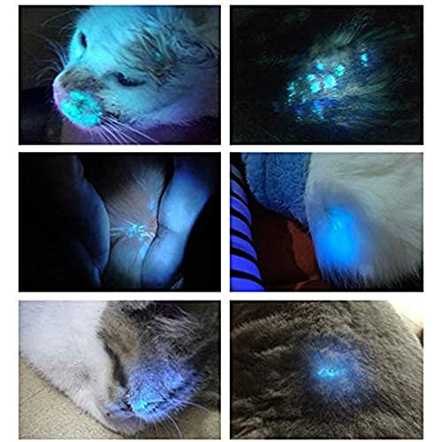 Joyfitness Analizador De Piel con Lámpara De Madera para Detección De Fluorescencia, Luz Negra UV De Mano De 365 NM, Cuidado De Perros/Gatos, Pruebas No Destructivas (NDT).