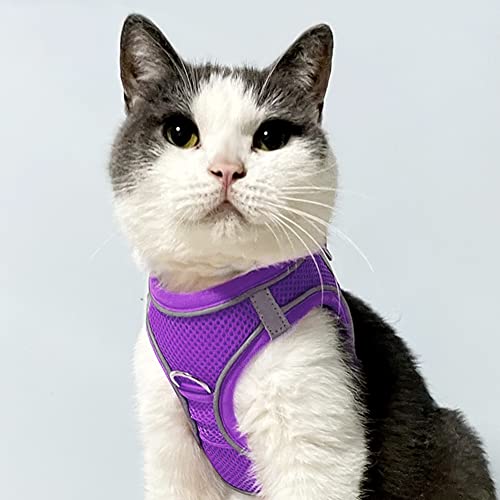 Joytale Arnes Perro, Reflectante Cómodo Transpirable Arnés, Perros Arneses Chaleco para Gato y Cachorros Perro, Morado, XXS