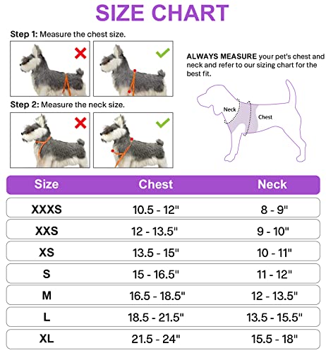 Joytale Arnes Perro, Reflectante Cómodo Transpirable Arnés, Perros Arneses Chaleco para Gato y Cachorros Perro, Morado, XXS