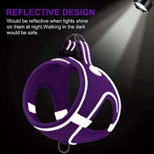 Joytale Arnes Perro, Reflectante Cómodo Transpirable Arnés, Perros Arneses Chaleco para Gato y Cachorros Perro, Morado, XXS
