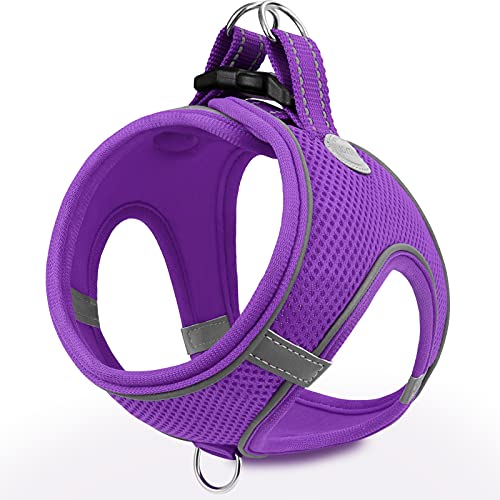 Joytale Arnes Perro, Reflectante Cómodo Transpirable Arnés, Perros Arneses Chaleco para Gato y Cachorros Perro, Morado, XXS