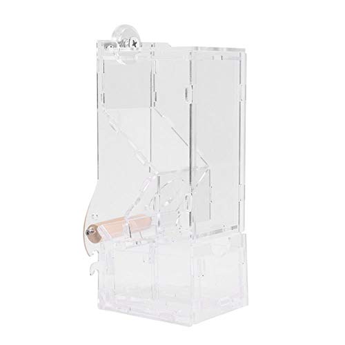 JTKDL Comedero for pájaros Duradero y se desmonta for una Limpieza fácil y rápida Comedero automático for pájaros Comedero for Jaula de pájaros Comedor de Alimentos Loro alimentador