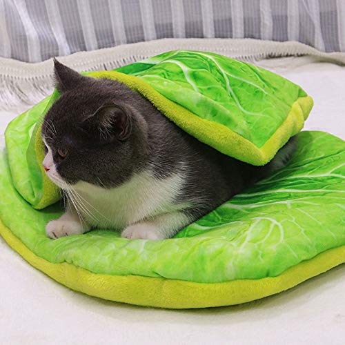 Judyd Pet Cat Dog Bed Mat y Juego de Manta Patrón Creativo Huevo Pizza Suministros de Invierno, Huevo Frito Simulación 3D Manta de Felpa de Gato Edredón, Huevo Frito