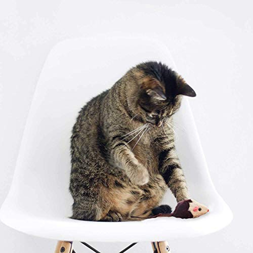Juego de 10 Ratones para Juegos con Campana y Hierba gatera Juguete del Gato Juguetes interactivos de Las Mascotas del Juguete del Gato para el Gatito del Gato