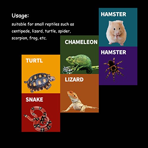 Juego de 2 comederos para comida de Anfibios Gecko Snakes Lizard Chameleon