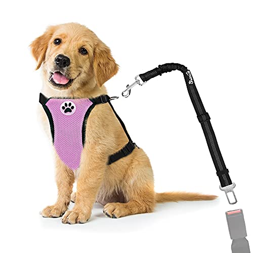 Juego de Cinturones de Seguridad para Perros Nasjac, cinturón de Seguridad para Mascotas con cinturón de Seguridad