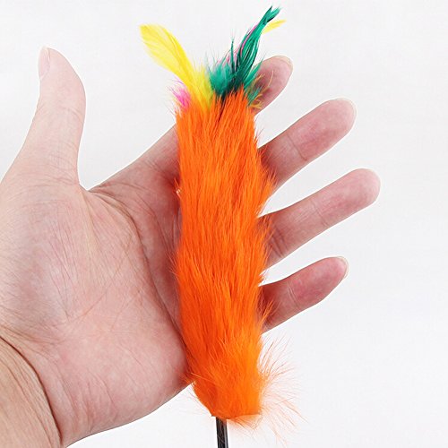 Juguete bastón de plumero con pica y pluma, para perro, gato, animal, de plástico, 55 cm