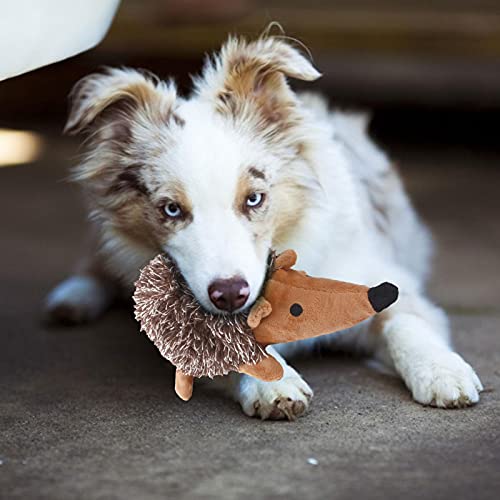 Juguete de peluche para perros, juguete interactivo para perros, seguro y duradero, para perros pequeños, erizos de peluche, juguete interactivo para perros
