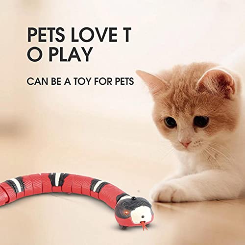Juguete De Serpiente Eléctrico Juguete De Gato Serpiente De Detección Inteligente Juguete De Gato De Serpiente USB Juguetes Eléctricos Para Gatos Juguete Interactivo Juego Interactivo Para Gatos