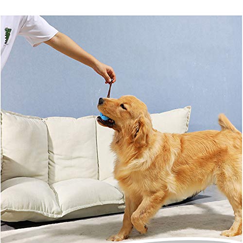 Juguete Molar para Mascotas Multifuncional,Juguete mordedor para Mascotas,Juguete para Perros con Ventosa,Pelota de Limpieza de Juguete Molar para Mascotas (B)