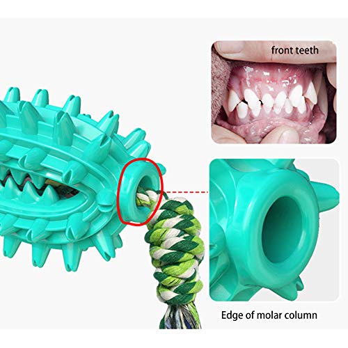 Juguete Molar para Mascotas Multifuncional,Juguete mordedor para Mascotas,Juguete para Perros con Ventosa,Pelota de Limpieza de Juguete Molar para Mascotas (A)