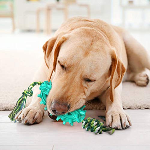 Juguete Molar para Mascotas Multifuncional,Juguete mordedor para Mascotas,Juguete para Perros con Ventosa,Pelota de Limpieza de Juguete Molar para Mascotas (A)