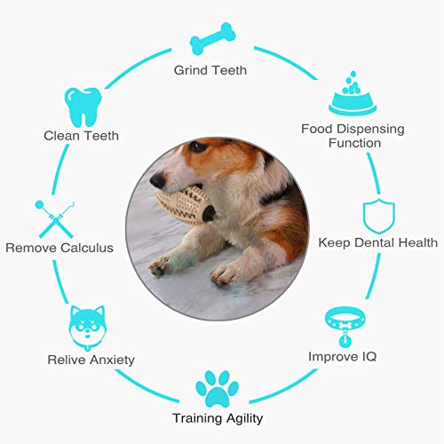 Juguete Molar para Mascotas Multifuncional,Juguete mordedor para Mascotas,Juguete para Perros con Ventosa,Pelota de Limpieza de Juguete Molar para Mascotas (B)
