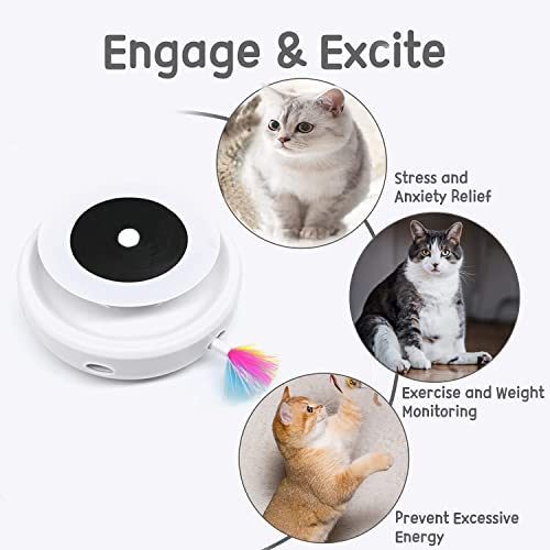 Juguete para gatos interactivo con pistas de bolas 2 en 1, con 2 muelles intercambiables, juguete eléctrico para gatos