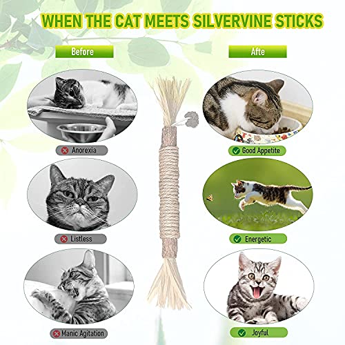 Juguete para Masticar Gato, Palitos de Hierba Gatera para Gatos, Juguetes para el Cuidado Dental de Gatos, Palitos de Hierba Gatera Orgánica, Juguetes Interactivos