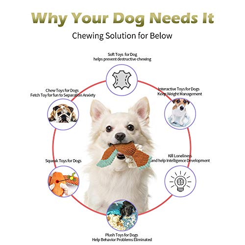 Juguetes de peluche para perros masticar juguetes loro y pato Squeaky Puzzle de peluche para perros - Actividad interactiva para perros