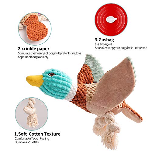 Juguetes de peluche para perros masticar juguetes loro y pato Squeaky Puzzle de peluche para perros - Actividad interactiva para perros
