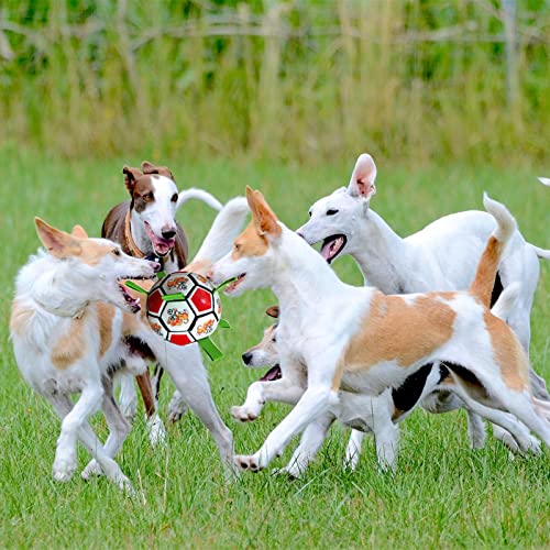 Juguetes De Perros Pelota Perro Pelotas Para Perros Pelota Futbol Perro Interactivas Para Perros Perros Juegan En Interiores Y Exteriores