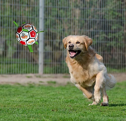 Juguetes de perros, pelotas para perros, pelota futbol para perro, pelotas para perros grandes (con bomba de aire y sorpresa)15cm pelota perro