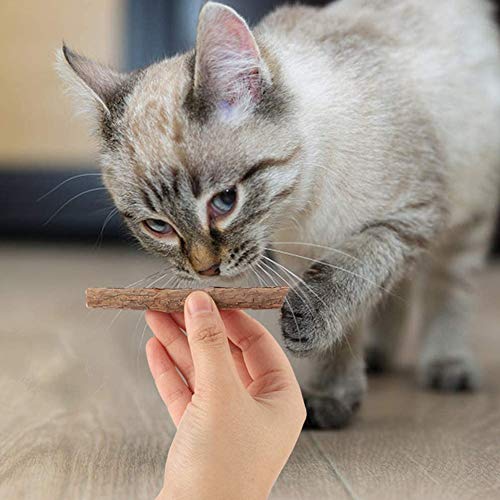 Juguetes Hierba Gatera para Gato, 30 Piezas Juguetes Orgánicos Hierba Gatera, Palitos para Masticar Gato, Palitos para Masticar Gato, para Gatito Tratamiento Dental Limpieza Dientes Molares Juguete