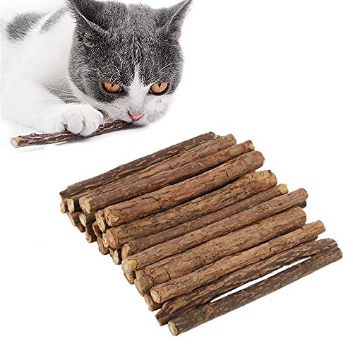 Juguetes Hierba Gatera para Gato, 30 Piezas Juguetes Orgánicos Hierba Gatera, Palitos para Masticar Gato, Palitos para Masticar Gato, para Gatito Tratamiento Dental Limpieza Dientes Molares Juguete