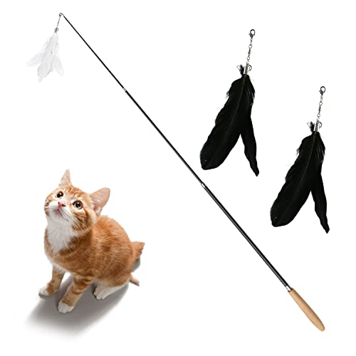 Juguetes Interactivos para Gatos, Juguete para Gatos Y Gatitos con Plumas Varita Interactiva para Gatos