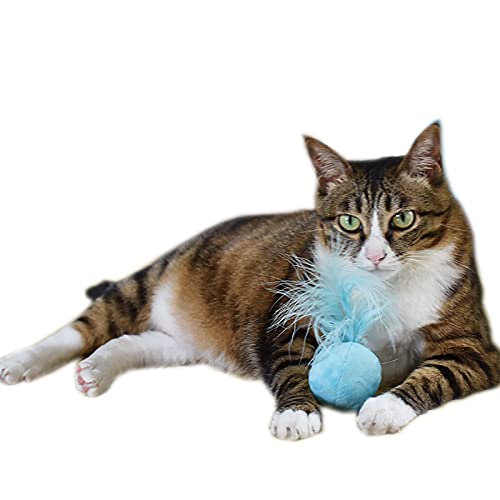 Juguetes para gatos de interior para gatos gato varita Teaser juguete interactivo gato masticar juguete gato bola juguetes con campanas 2 unids