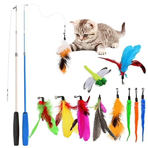 Juguetes para Gatos Juguete Gatito Retráctiles Varita de gato Juguetes Teaser con Campana Recargas Juguete Pluma de Gato Interactivos para Interior Gatito Ejercicio