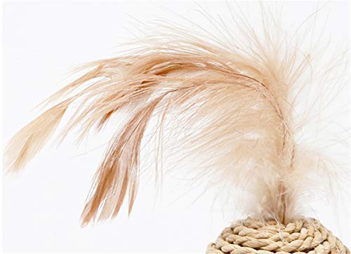 Juguetes para Gatos, Juguetes para Mascotas, Pelotas de ratán Que suenan, Pelotas de Juguete de Plumas, Pelotas de ratán para Gatos, Juguetes Activos para Gatos