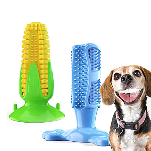 Juguetes para Masticar Perros, Huesos de Perro Resistentes para masticadores agresivos y Juguetes de TRP Natural duraderos para Perros 2PCS