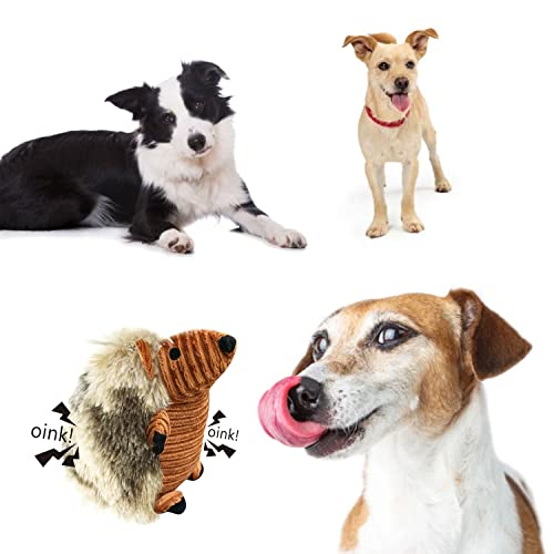 Juguetes para Perros, Juguetes Perro Peluche para Perros Durable Juguetes para Cachorros Pequeños Medianos Perros (Erizo)