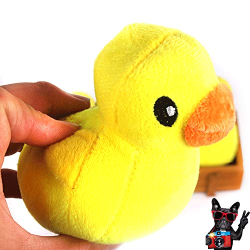 Juguetes para Perros, PietyPet Juguetes de Cuerdas y Juguetes de peluche con sonido, Juguetes para morder