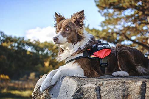 JULIUS K9 1621IDC-R-G IDC Universal Side Bags/ Pair, Harness Size: Mini - 4, Red, M