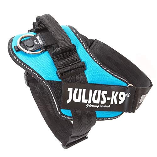 JULIUS-K9 16IDC Power Harness