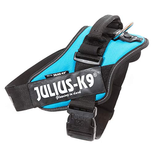 JULIUS-K9 16IDC Power Harness