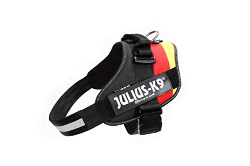 JULIUS-K9 16IDC Power Harness